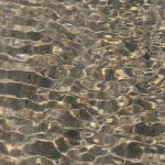 Rippling Dévoile une API d’Authentification Financière pour Renforcer la Sécurité et l’Efficacité Financière