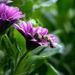 Les API alimentent l’automatisation de la facturation des freelances