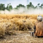 Crédit Agricole Étudie l’Intégration Transfrontalière des Monnaies Numériques de Banque Centrale