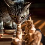 Tabby Intègre le Paiement Échelonné pour les Services de Tournage par Drone