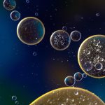 Les Signaux Comportementaux de BioCatch Alimentent Désormais les Moteurs AML