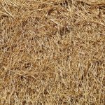 Tabby Étend le BNPL au Marché des Émirats Arabes Unis