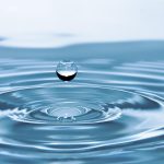 Lancement par Rippling de l’API Global Compliance Status