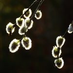 Les modèles de base des microservices permettent aux équipes produit d’être agiles