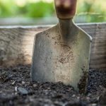 Outils de Paie Visualisent les Données Historiques de Revenus