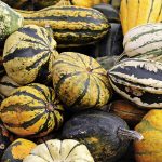 240 000 automobilistes « oublient » de payer à ce péage si spécial en France