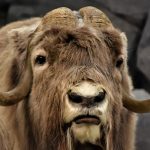 Pourquoi la France et l’Allemagne misent sur ce système de satellites pour détecter les missiles hypersoniques ?