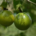 A nos lecteurs Frontal passe au direct : une nouvelle émission pour décrypter l’extrême droite